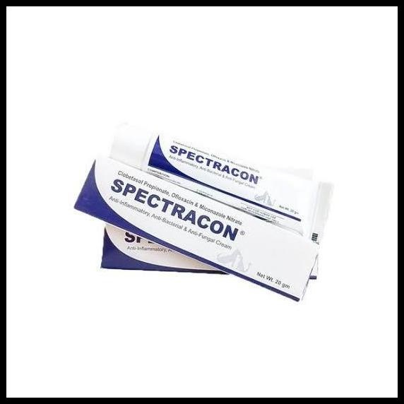 READY Salep Jamur Anjing - Spectracon - Obat Jamur Anjing