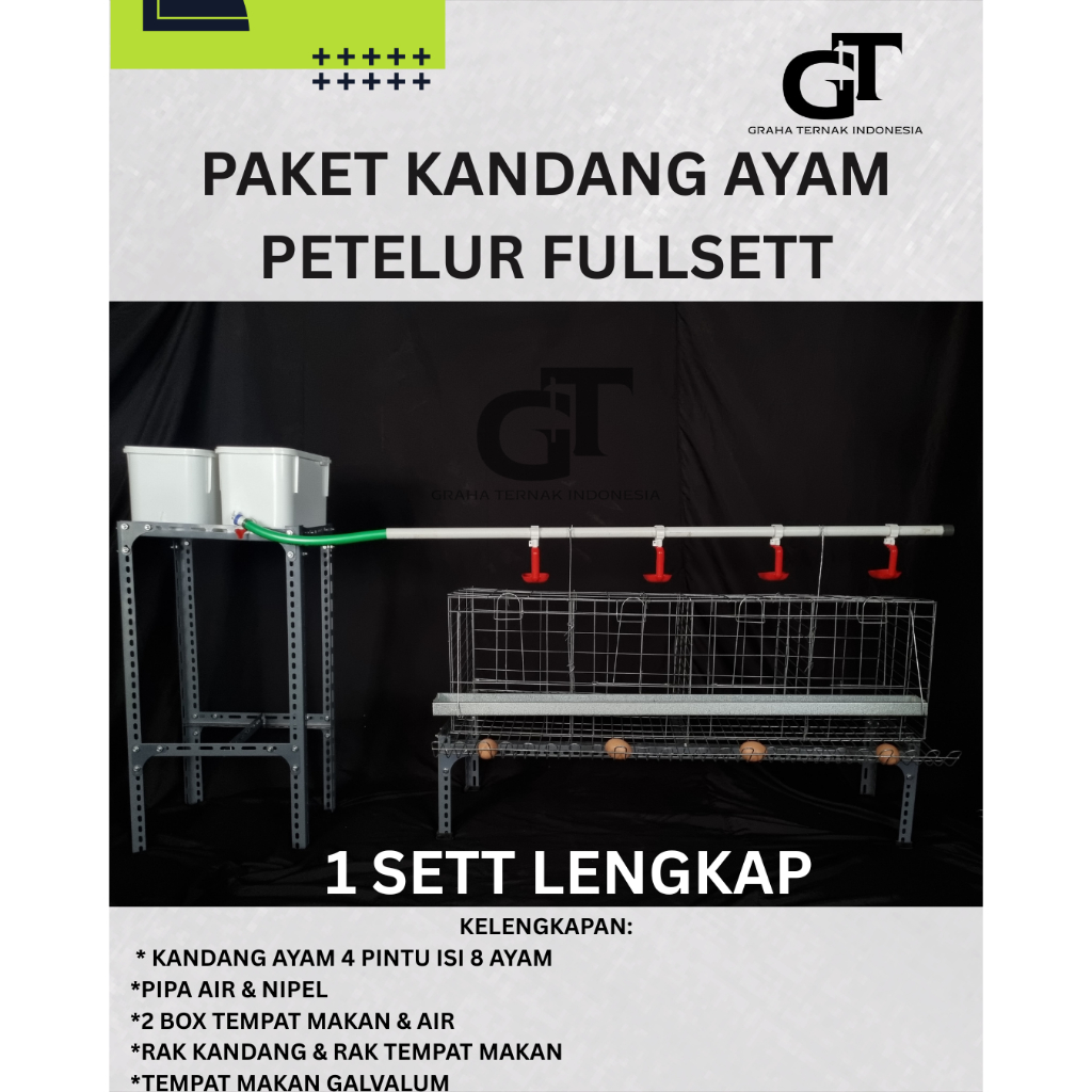 Kandang ayam petelur fullset untuk 8 ekor ayam 4 pintu 8 ayam