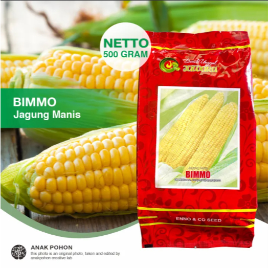 Benih Jagung Manis Jawara Bimmo Enno & Co Seed 500gr – Bibit Unggul Cepat Panen