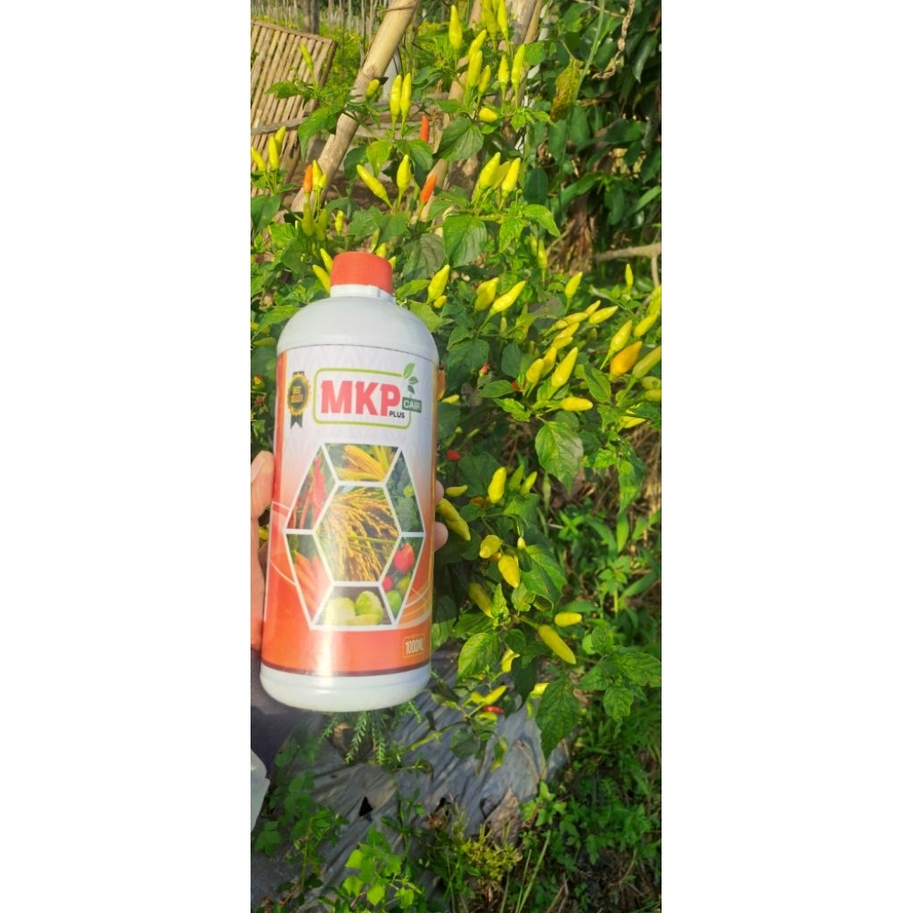 MKP CAIR PLUS ORIGINAL PERANGSANG BUNGA BUAH