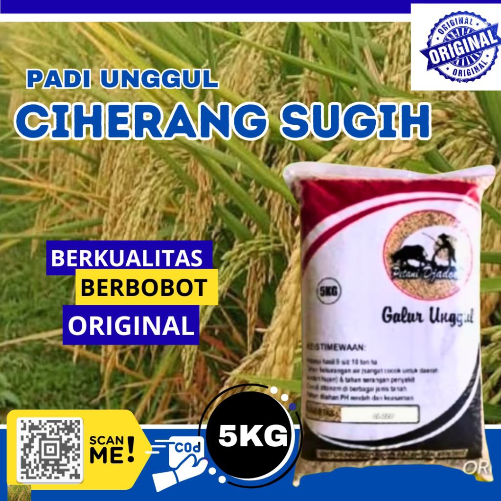 bibit benih padi Ciherang sugih kemasan 5kg Kualitas premium