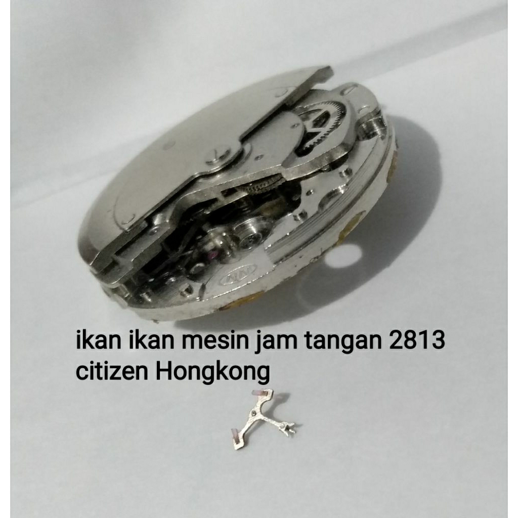 ikan ikan mesin jam tangan otomatis citizen Hongkong cal.2813