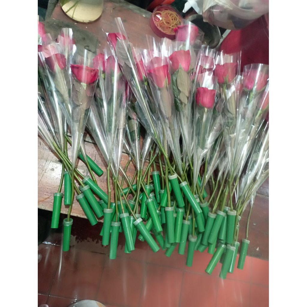 Bunga Mawar satuan Bunga asli Fresh Flower