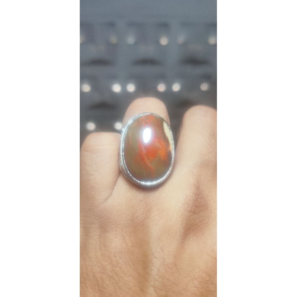 fosil kelor merah banten (02)