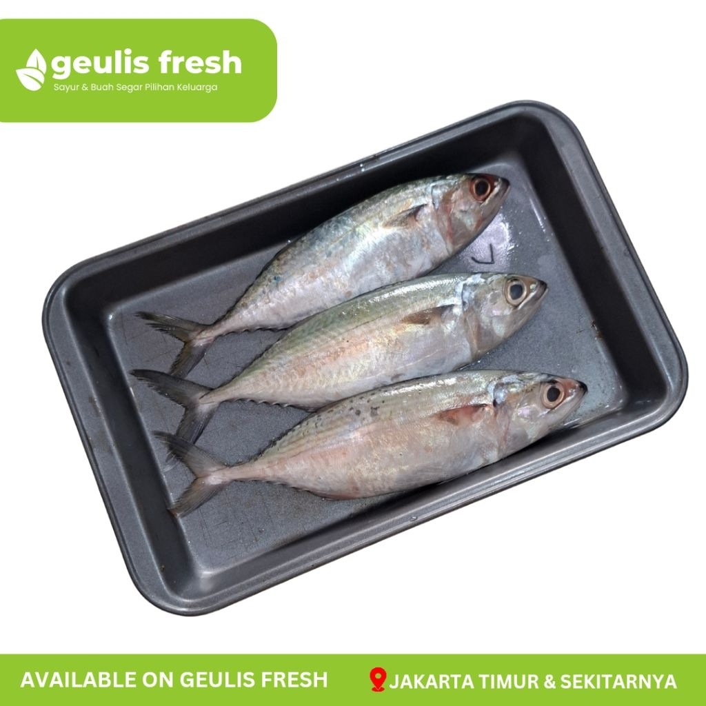 Ikan Peda Putih / Kembung Banjar Segar 500gr-1kg | Sayur Buah Ikan Segar Jakarta Timur Geulis Fresh