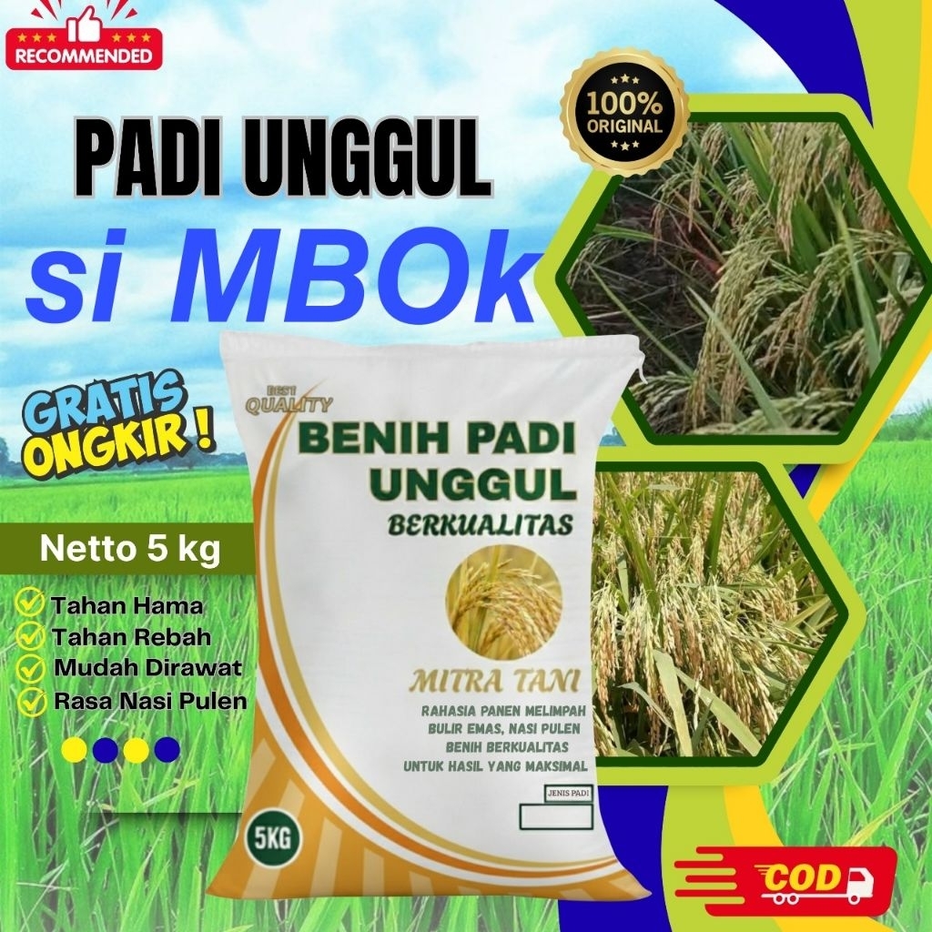 bibit padi simbok berqulitas kemasan 5kg