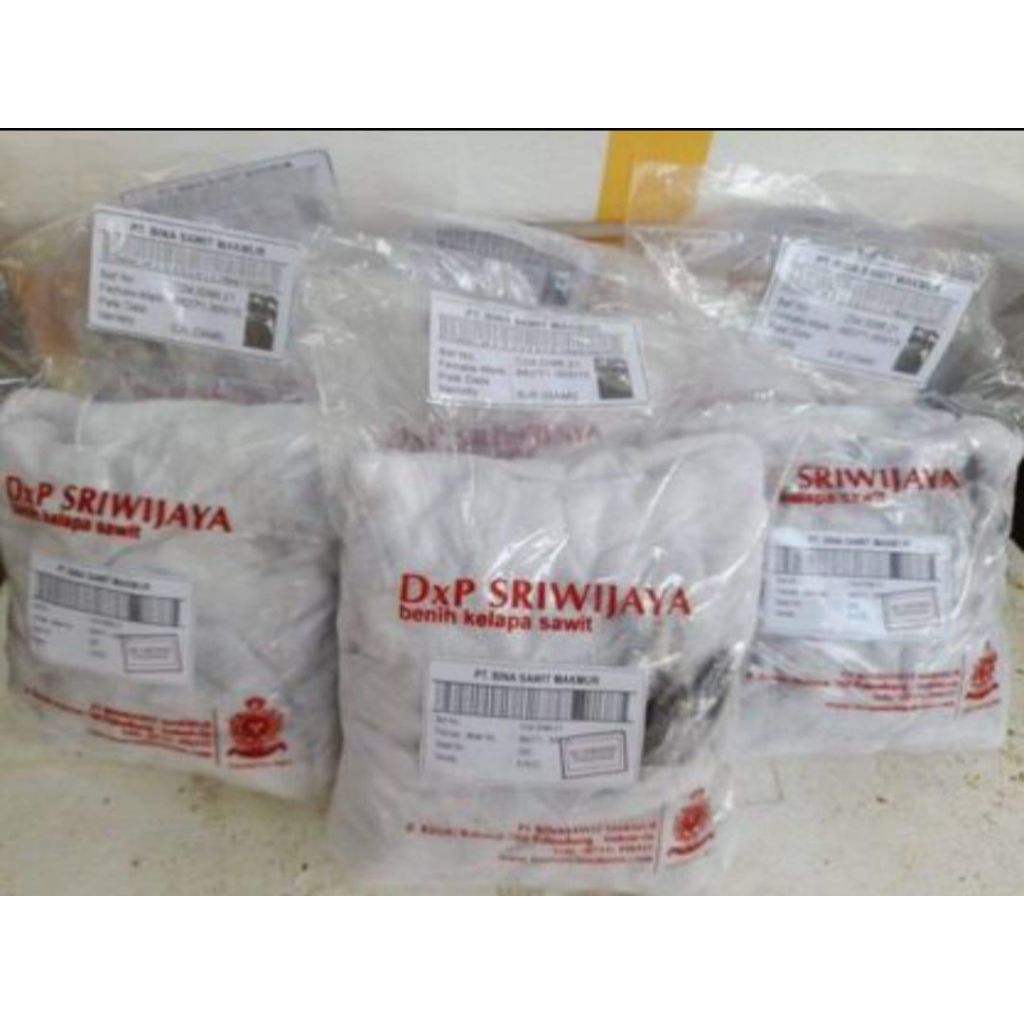 bibit sawit/polong/Sriwijaya/SJ5/kapas