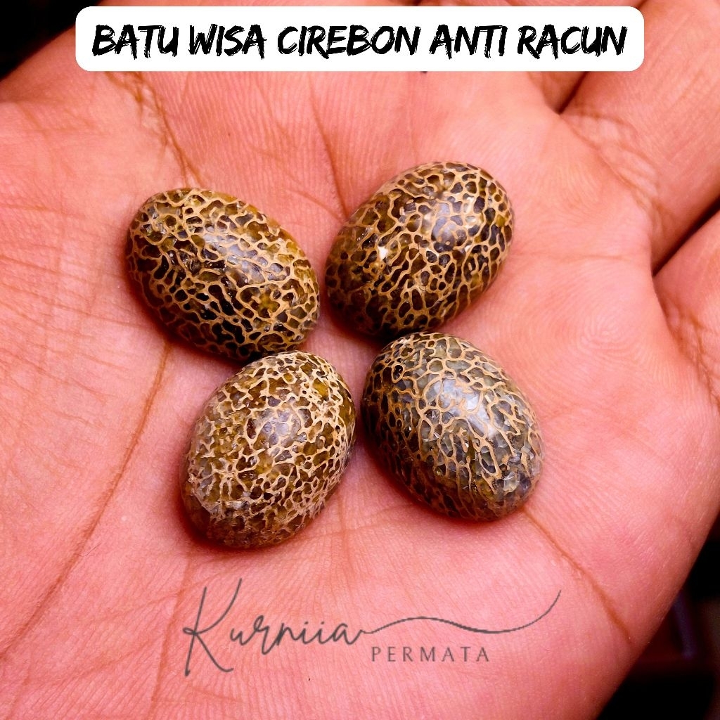 Lostone Batu Akik Wisa Cirebon Anti Racun Asli Natural Sedot Racun