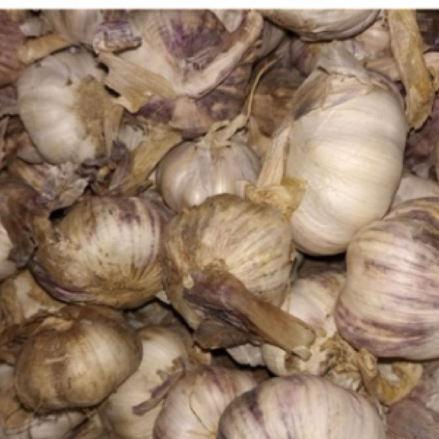 BAWANG PUTIH KOTOR/BAWANG PUTIH BELUM DIKUPAS/ BAWANG PUTIH MURAH