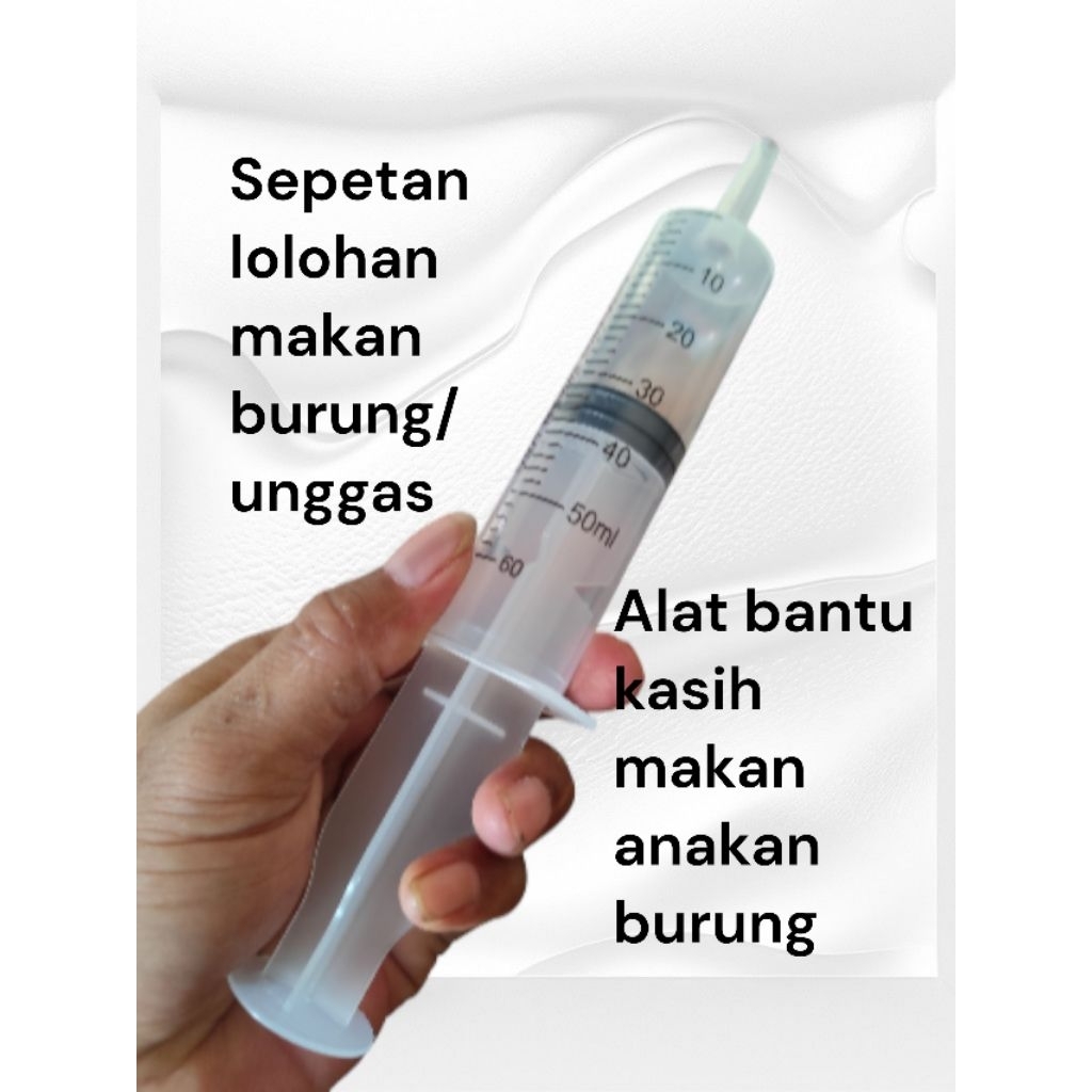 Sepetan lolohan anakan burung/unggas