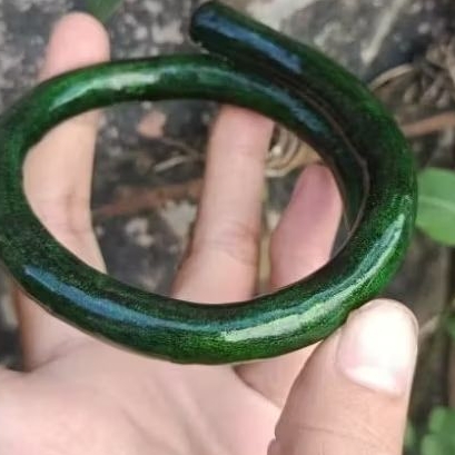 gelang akar bahar tali arus hijau asli berkualitas