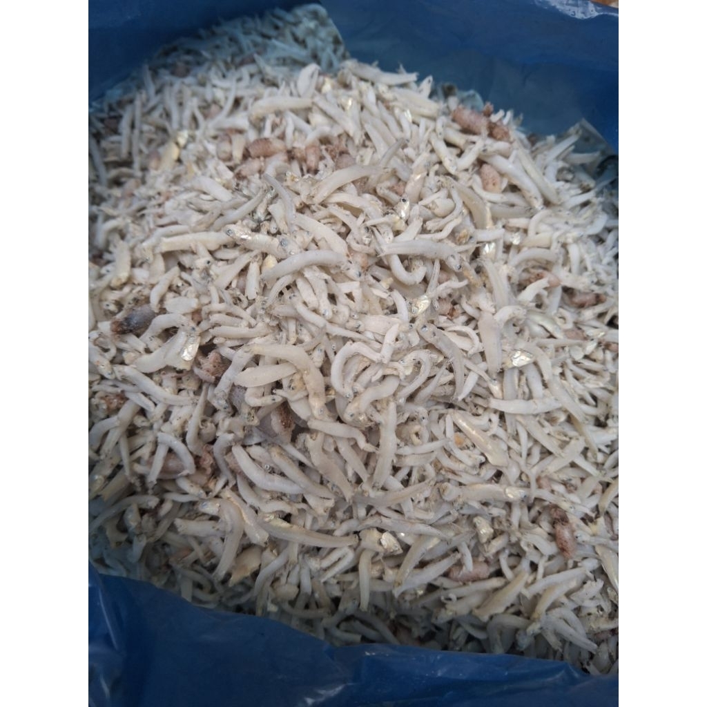 Ikan Teri Toge medan Super Kemasan 500gr