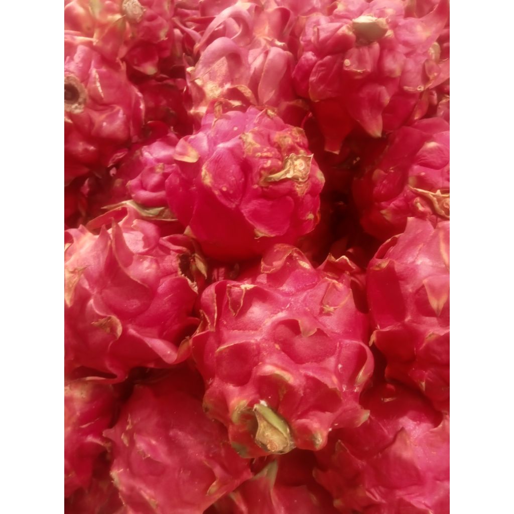 Dragon Fruit Red