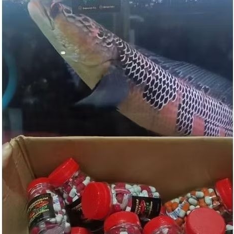 Kapsul Emperor Bunga Booster
