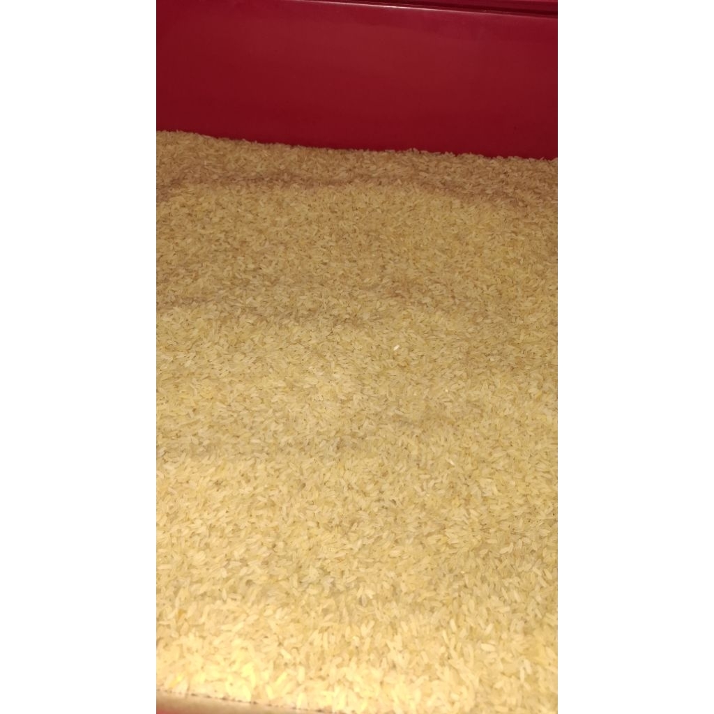 BERAS BASMATI IMPOR KUALITAS PREMIUM 50KG MURAH MERIAH