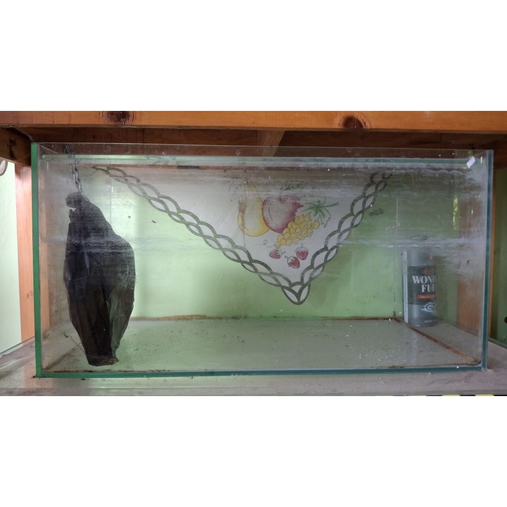 Akuarium 40x80 bawah, 30x60 atas