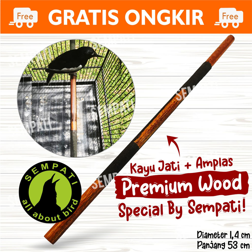 SEMPATI TANGKRINGAN SANGKAR BURUNG KACER POKSAY KENARI KAYU JATI EBOD JAYA