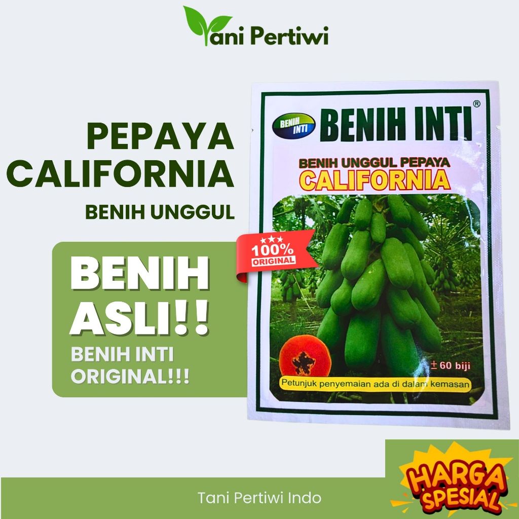 BENIH INTI - BENIH PEPAYA CALIFORNIA ASLI PREMIUM - BENIH UNGGUL BERSERTIFIKAT