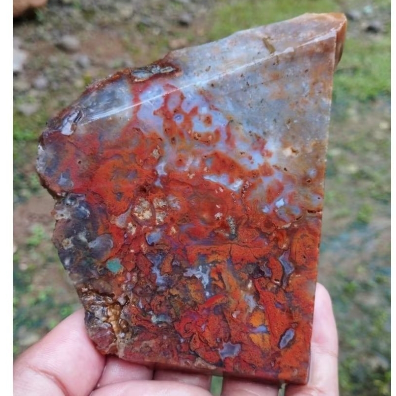 suiseki batu alam bahan batu akik lempengan panca warna kristal multi warna natural istimewa persis 