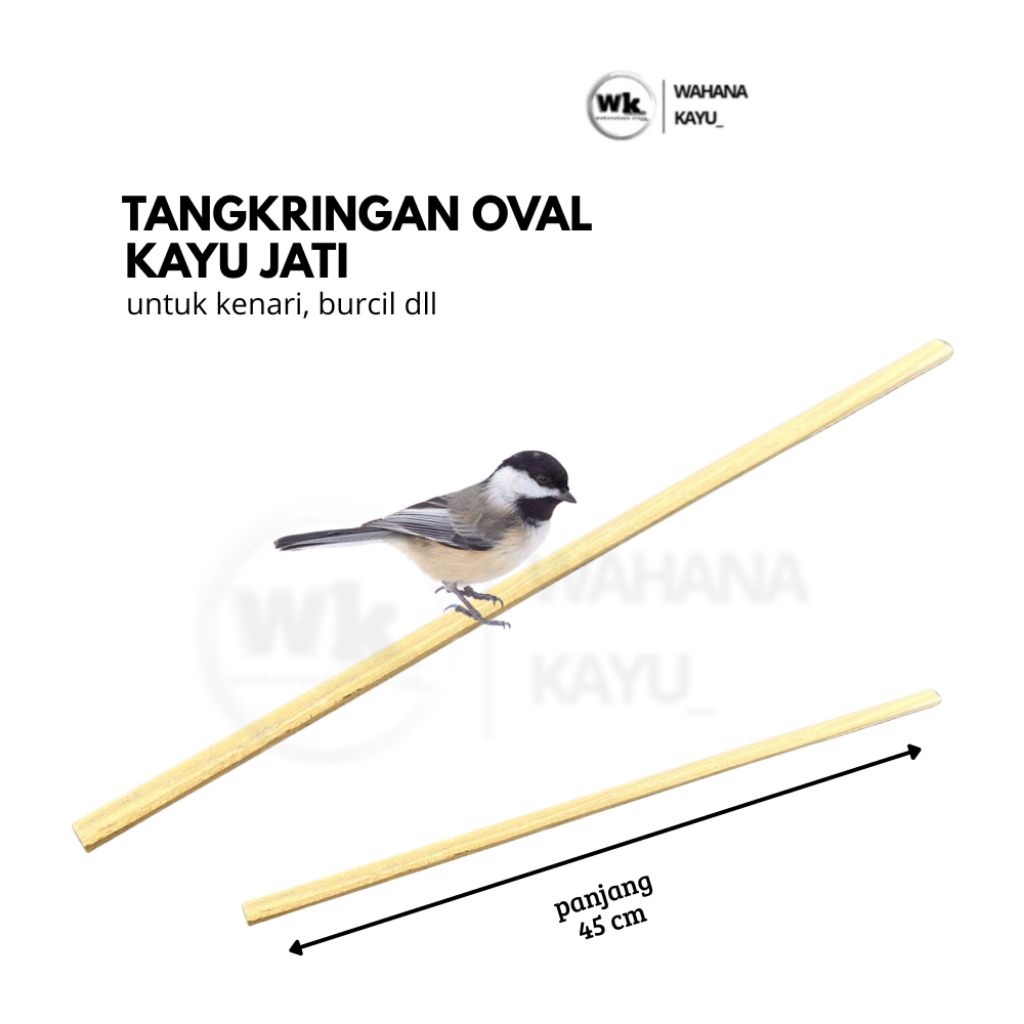 tangkringan oval 45cm burung kenari burcil | tangkringan burung model oval