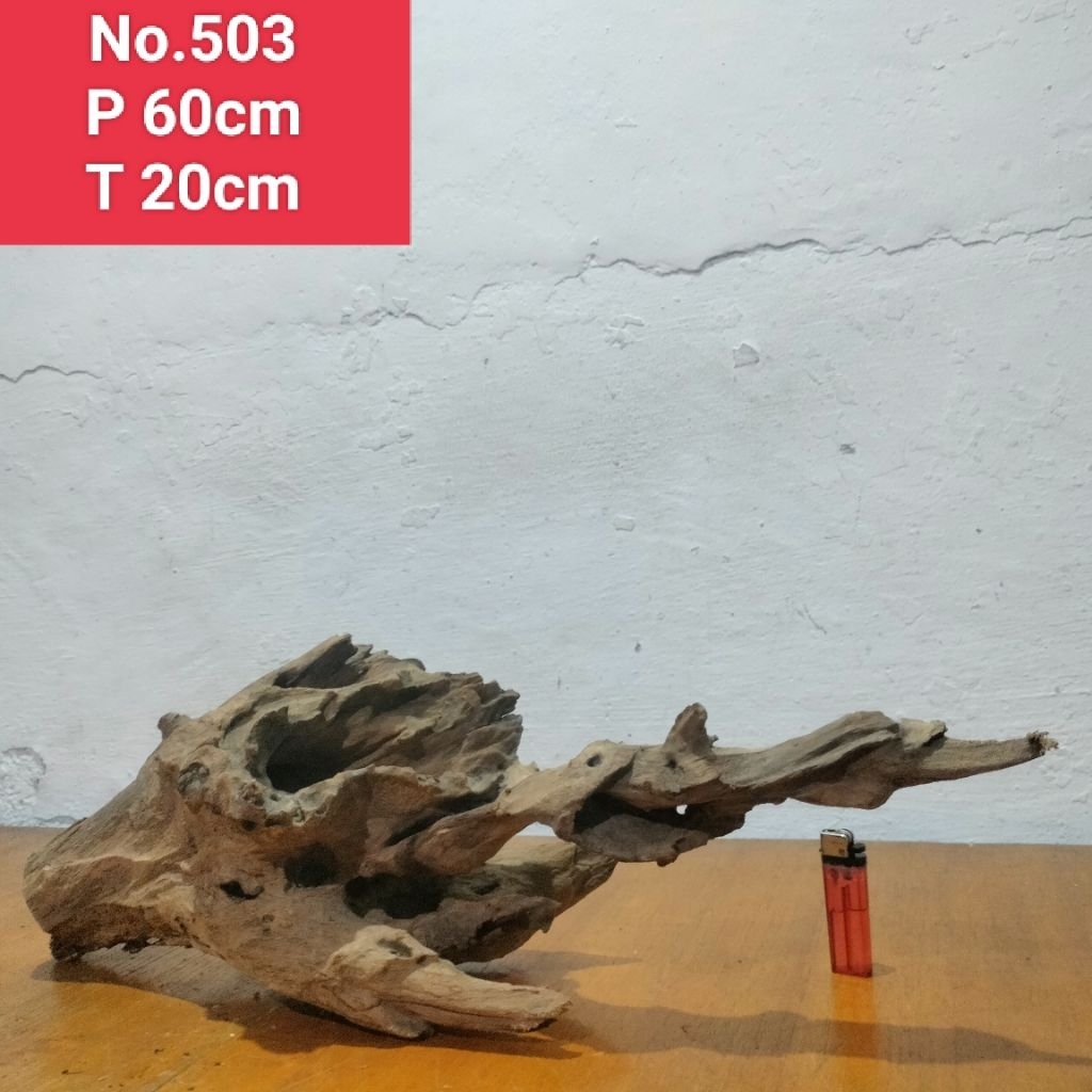 akar santigi laut kayu santigi laut dekorasi aquascape aquarium 503