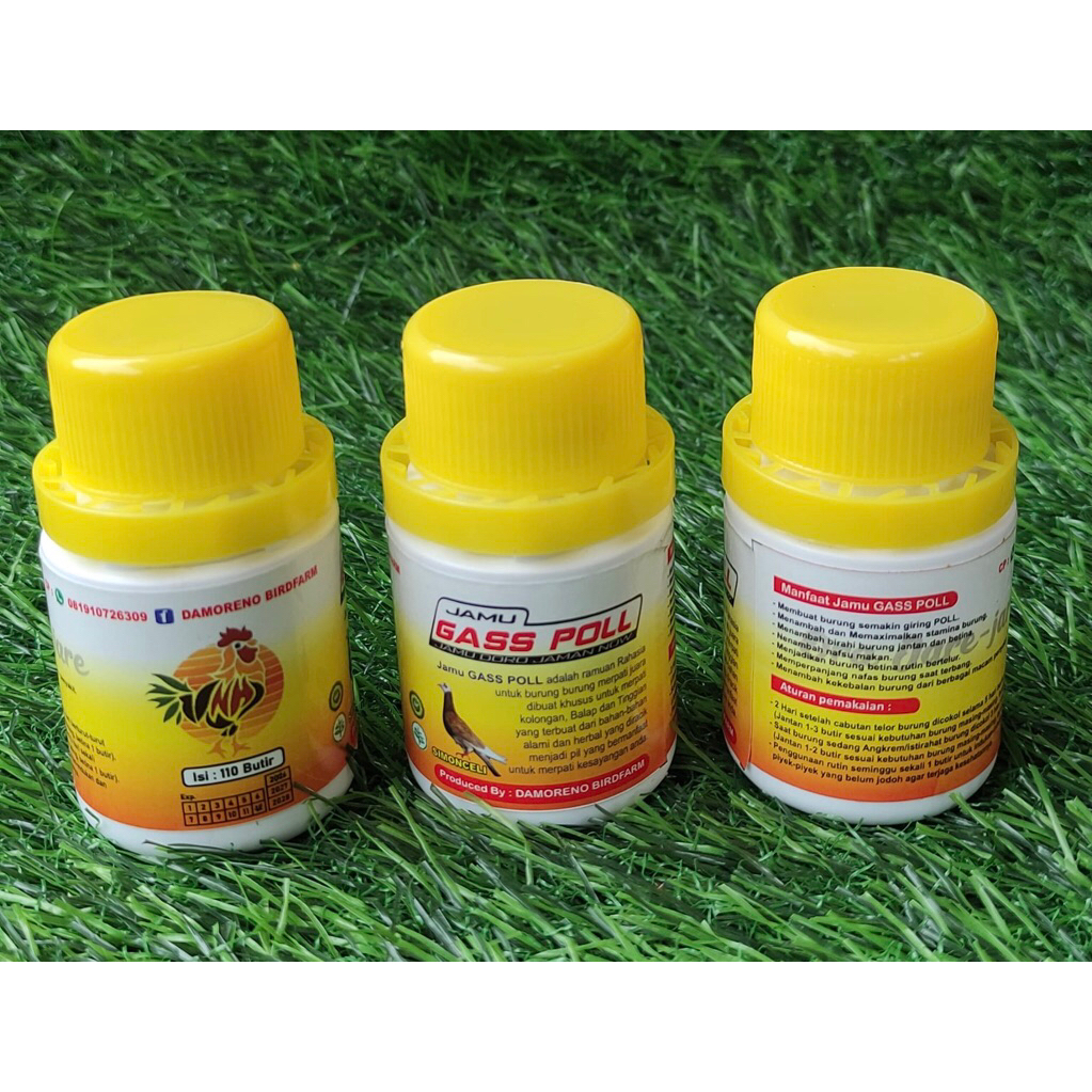 JAMU MERPATI JAMU GIRING MERPATI GASS POLL