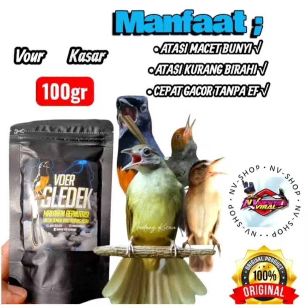 Voer gledek kasar murai Kacer jalak Pur pakan burung ciblek kapas tembak cendet pentet bikin gacor