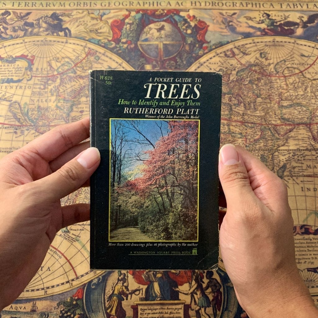 LITERIA - (Buku ensiklopedia vintage) A POCKET GUIDE TO TREES - 1960