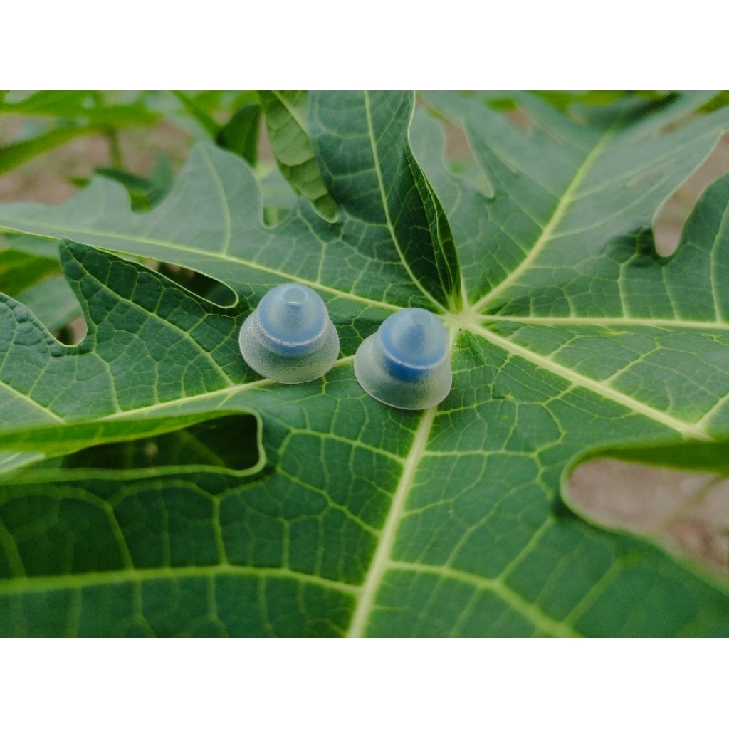 Eartips Tangzu Tang Sancai Narrow Bore Size L