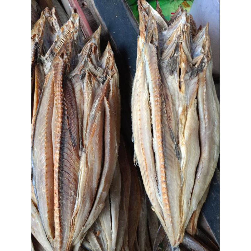 ikan asin telang tenggiri ekoran