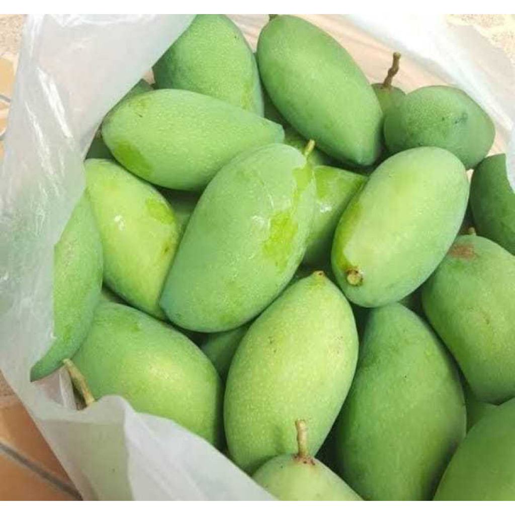 Mangga Muda Segar ( 500 Gram ) | Sayuran Fresh Bogor