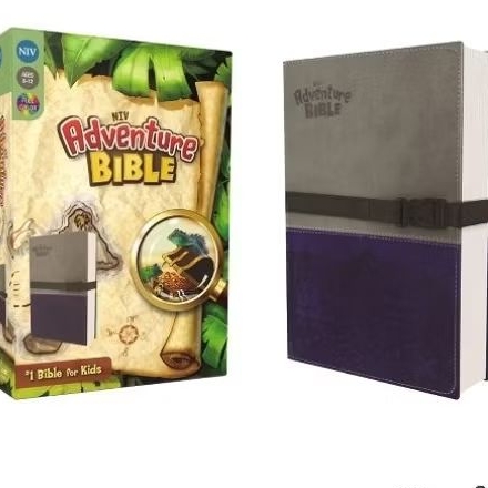 NIV, Adventure Bible, Leathersoft, Gray/Blue, Full Color: New International Version, Gray / Blue, It