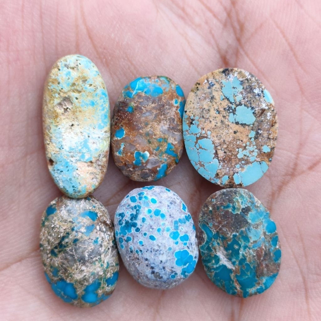 NATURAL PIRUS PERSI,PIRUS IRAN