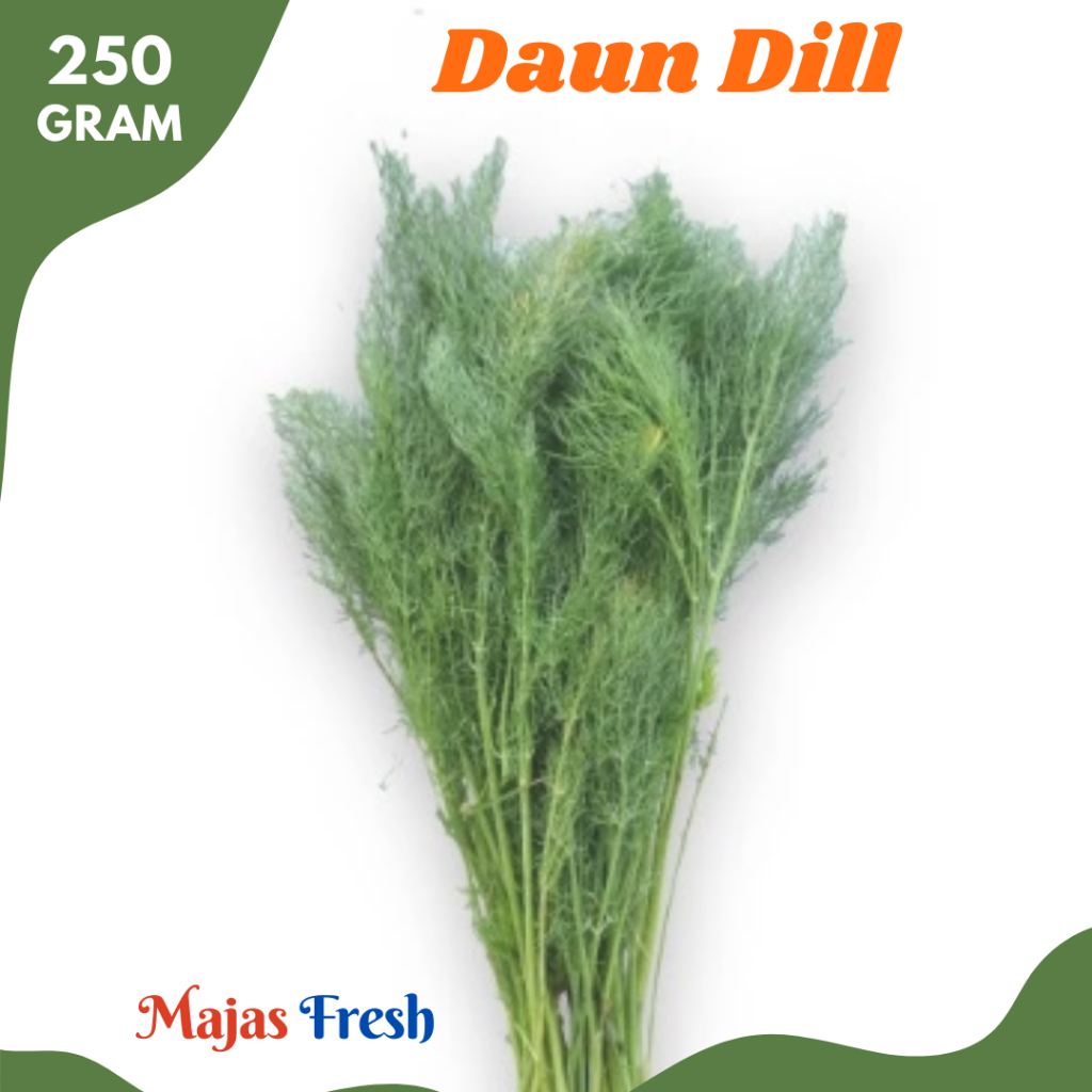 DAUN DILL Hijau Segar - Daun Adas Sowa Fresh | 250gr [ Harga Per BKS ]