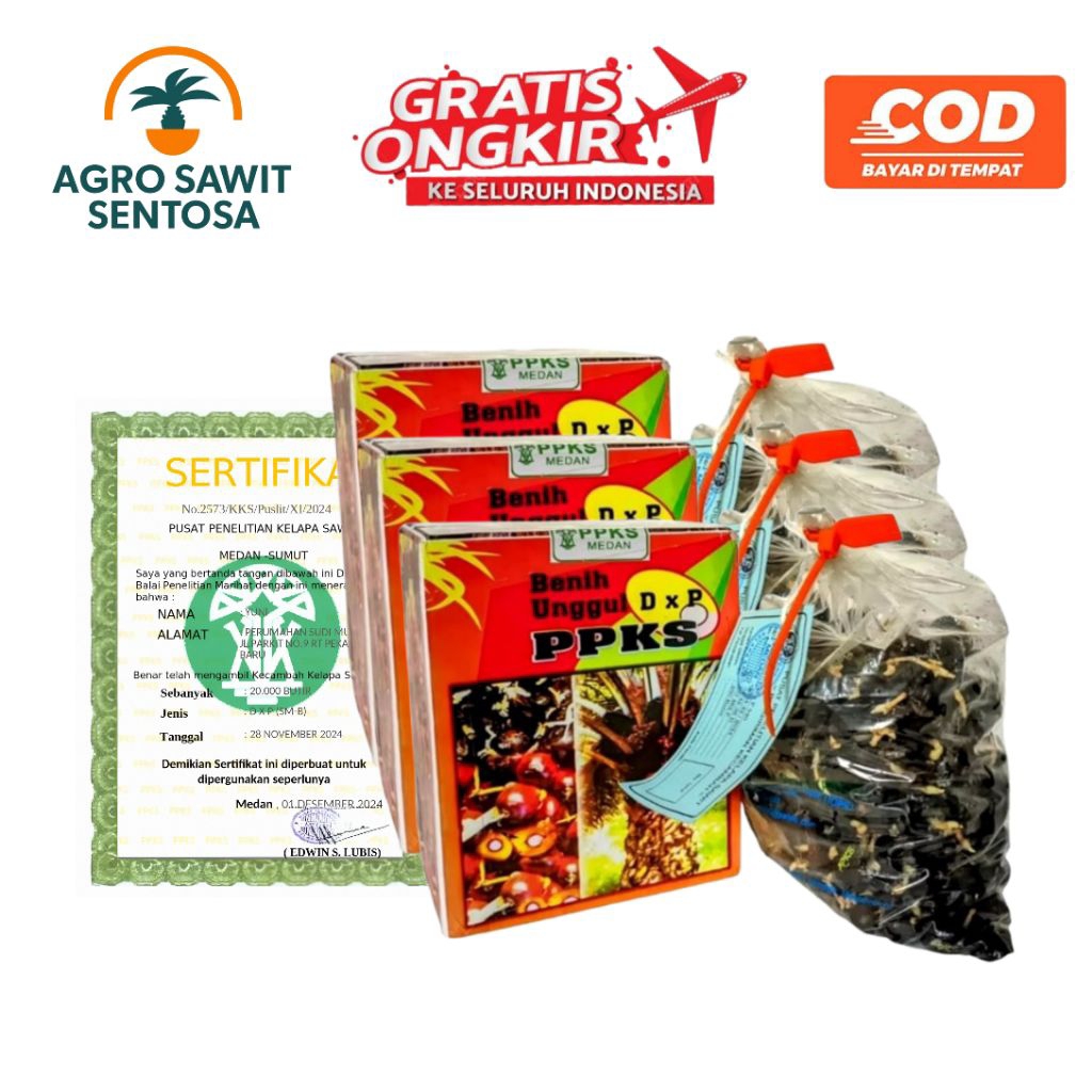 Bibit Benih Kecambah Kelapa Sawit Unggul DxP Marihat Bersertifikat