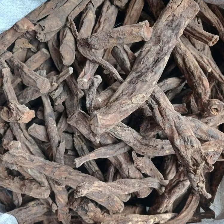 (100 gram) Kelembak / Klembak / Lembak / Lemba / Klembak Menyan / Akar Kelembak