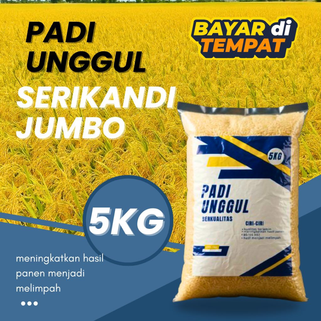 benih padi Srikandi jumbo 5kg