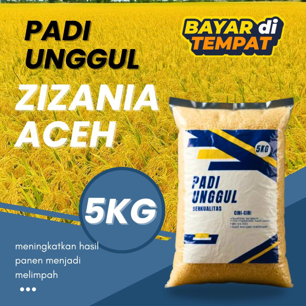 benih padi zizania Aceh 5kg