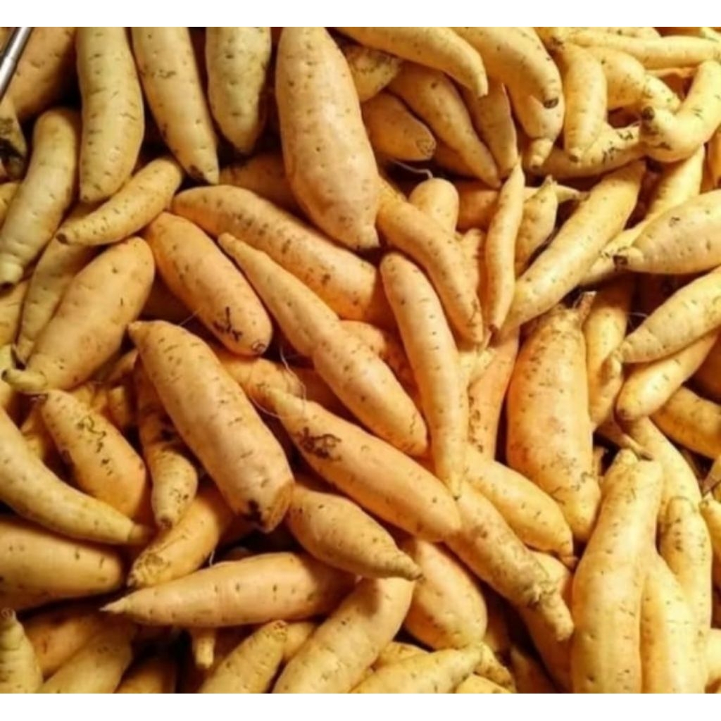 ubi madu berkualitas ubi asli Cilembu 1 KG ukuran kecil ubi lembut legit simanis madu