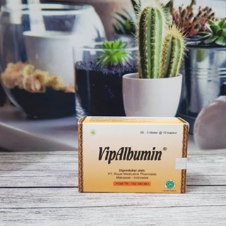PROMO Albumin Ekstra Ikan Gabus Isi 30 Kapsul / VipAlbumin Box