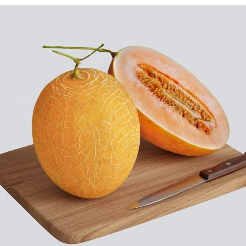 Melon Lavender IBANA