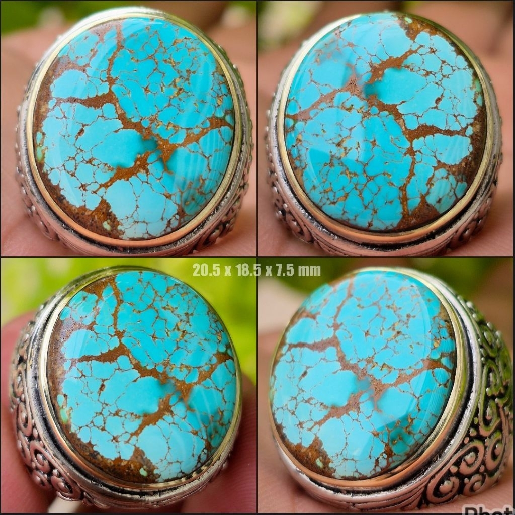 Pirus Persia Spiderweb Urat jala Beras kuta Top HQ