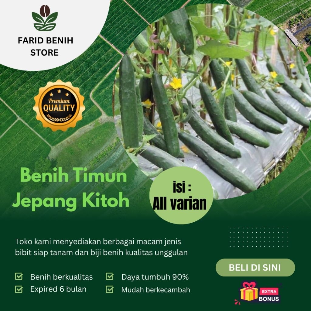 Paket hemat> biji benih timun jepang kitoh kualitas unggul