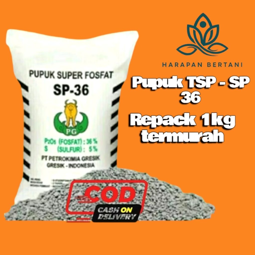 pupuk TSP- SP 36 kemasan repack 1kg termurah original