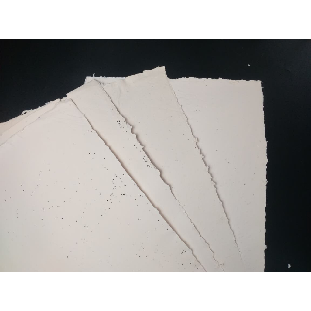 Kertas Daur Ulang A4 Benih Bayam Putih Tulang [REJECT]