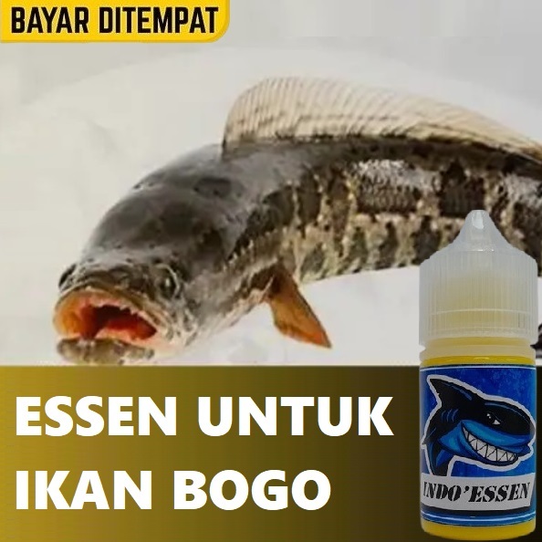 INDO ESSEN IKAN BOGO SUNGAI & KOLAM PALING JITU SIAP PAKAI ISI 30ML