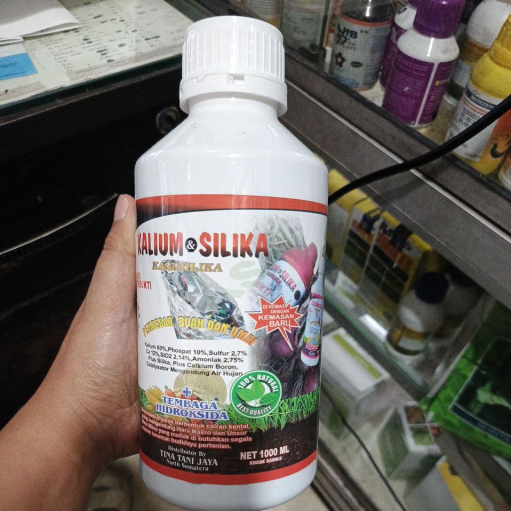 Kasilica pupuk kalium dan silika 500ml untuk membesarkan buah dan umbi dalam 3 hari