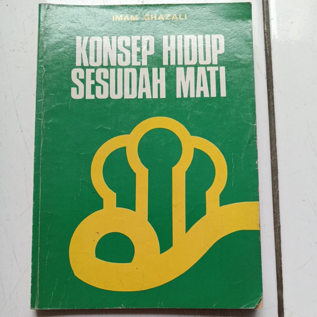 Buku konsep hidup sesudah mati