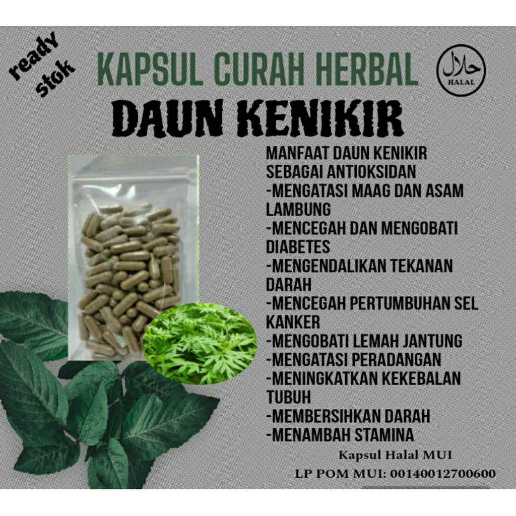 kapsul kenikir,mengendalikan tekanan darah