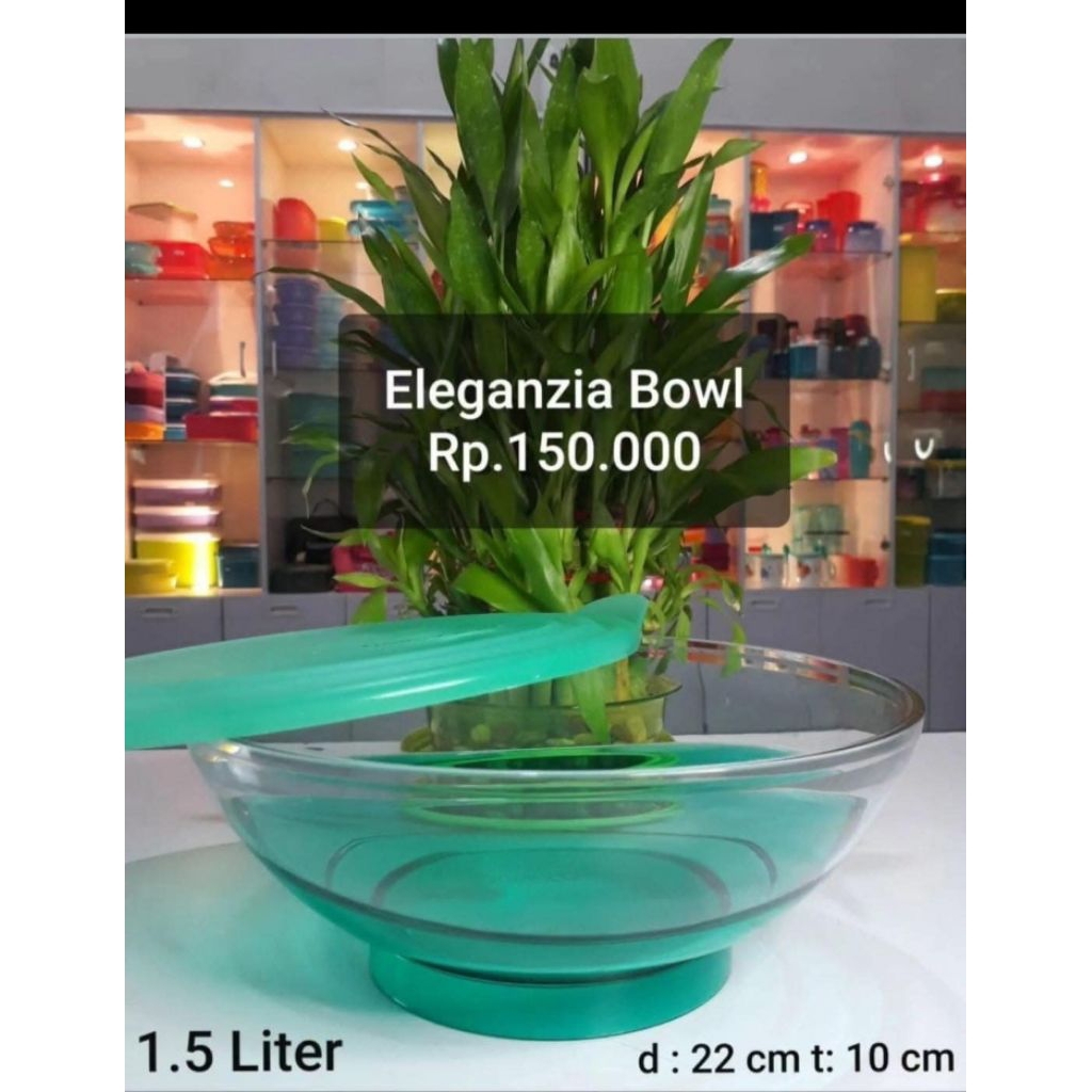 Eleganzia bowl
